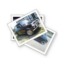 Auto: Elvis (Silverstone)
