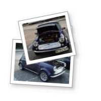 Member: 02312229373 (44225)
